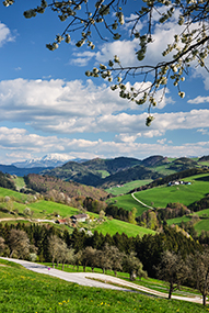 Das Mostviertel