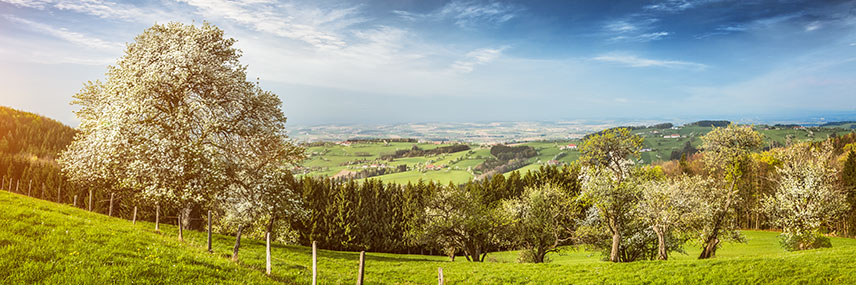 Das Mostviertel
