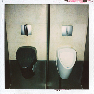 Polaroid