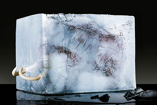St&ouml;lner Kampagne &bdquo;Professional Cooling&rdquo;